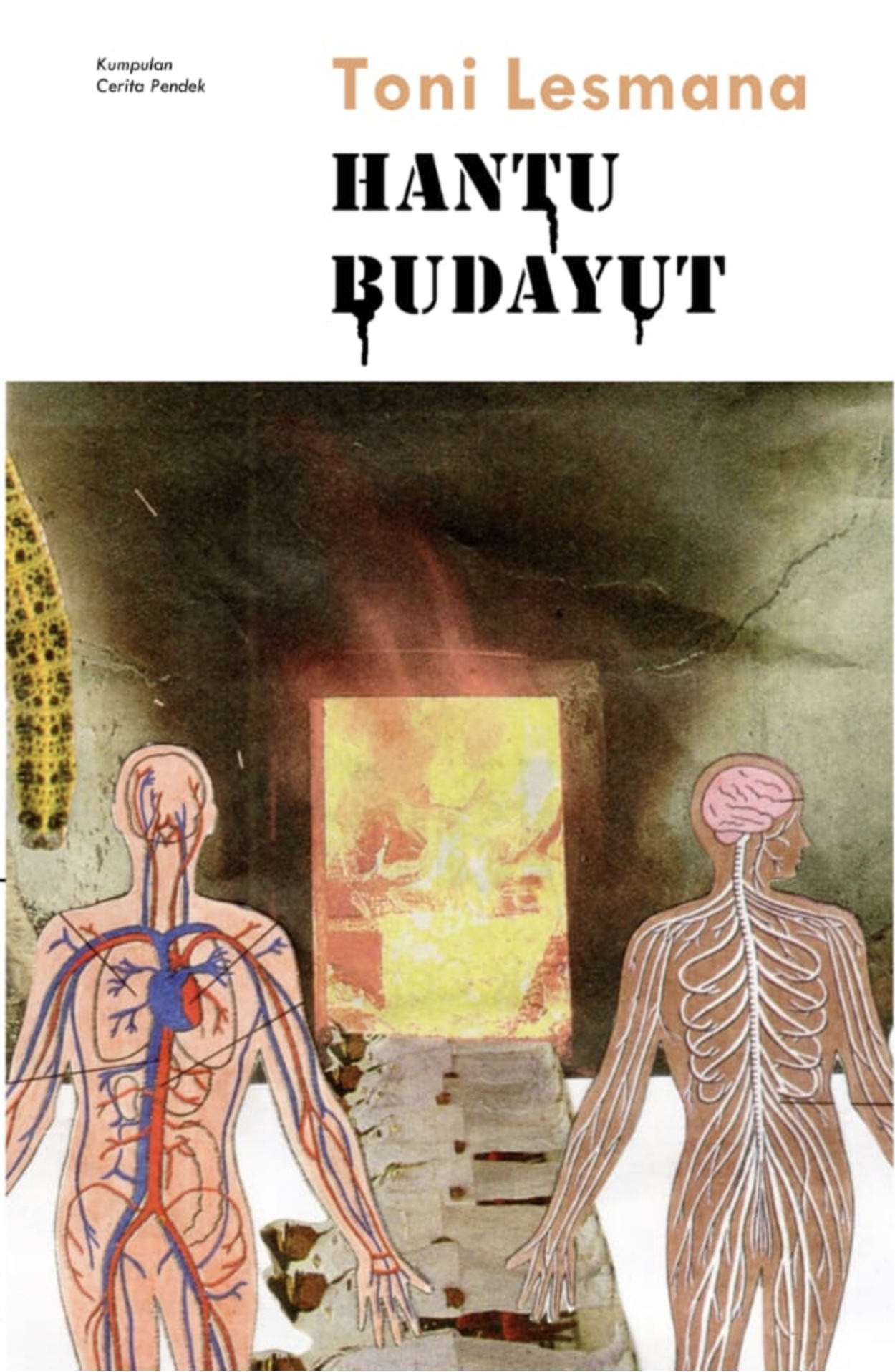 Cover Depan